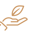 Family-Friendly Environment